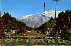 Upland Postcard