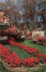 Formal Garden In Mobile During Azalea Time Postcard