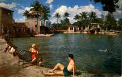 The Famous Venetian Pool In Coral Gables Postcard