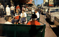 Green Benches On Central Avenue Postcard