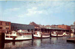 Casco Bay Lines Steamboats Portland, ME Postcard Postcard