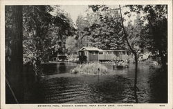 Swimming Pool, Sequoia Gardens Santa Cruz, CA Postcard Postcard Postcard