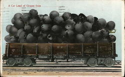 A Car Load of Grapes Fro Union Pacific Exaggeration Postcard Postcard Postcard