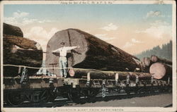 Along the Line of the C.M.&P.S Ry Trains, Railroad Postcard Postcard Postcard