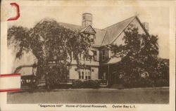 "Sagamore Hill" Home of Colonel Roosevelt Oyster Bay, NY Postcard Postcard Postcard