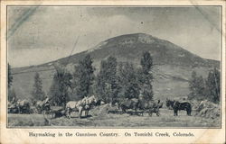 Haymaking in the Gunnison Country On Tomichi Creek Postcard