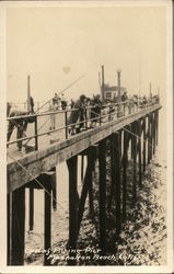 Fishing Pier Manhattan Beach, CA Postcard Postcard Postcard