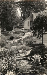 Burbank's Gardens Santa Rosa, CA Postcard Postcard Postcard