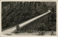 Bridge over Shasta River Postcard