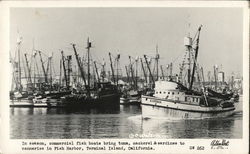 Fish Harbor Terminal Island, CA Postcard Postcard Postcard