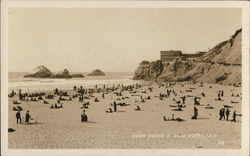 Cliff House and Seal Rocks San Francisco, CA Postcard Postcard Postcard