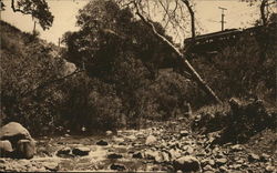 Alum Rock Park, Trolley/Streatcar Postcard