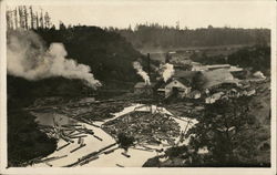 Overview of Logging Mill Postcard