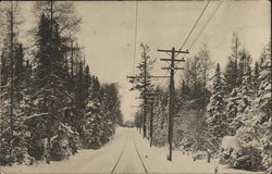 Railway Visible With Snow-Covered Pine Trees on Either Side Postcard