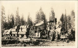 Logging in Grand Dad's Day Postcard Postcard Postcard