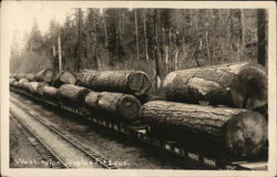 Washington Douglas Fir Logs Logging Postcard Postcard Postcard