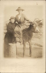 Woman on Donkey Near Another Woman, Amusement Park in Background Amusement Parks Postcard Postcard Postcard