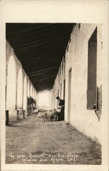 Mission San Miguel - Lone Resident and his Sheep Postcard