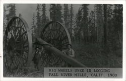 Big Wheels Used in Logging 1900 Fall River Mills, CA Postcard Postcard Postcard