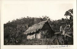 Small Structure with Thatch Roof in Jungle Setting Trinidad Caribbean Islands Postcard Postcard Postcard