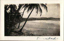 Trinidad Beach Postcard