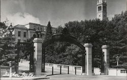 Sather Gate, University of California, Berkeley Postcard Postcard Postcard