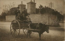 Grandpa Horton and Friends in Cart Postcard