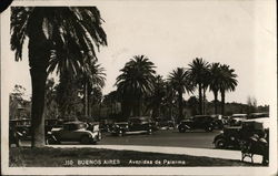 Avenidas de Palermo Postcard