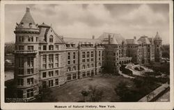 Museum of Natural History New York, NY Postcard Postcard Postcard