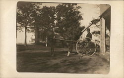 Man in Two-Wheeled Buggy Attached to Horse Postcard