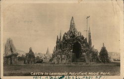 Castle, Lemmon's Petrified Wood Park Postcard