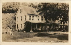 The Maples, James E. Peet, Prop. Halcott Center, NY Postcard Postcard Postcard