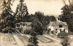 Burbank Garden Santa Rosa, CA Postcard Postcard Postcard