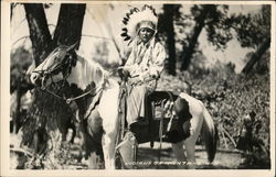 Indians of Montana Postcard