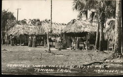 Seminole Indian Village at Royal Palm Tamiami Trail Postcard