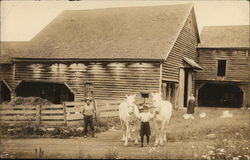 Posing With Two White Horses Outside Barn Postcard