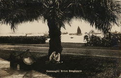 Connaught Drive Singapore, Singapore Southeast Asia Postcard Postcard Postcard