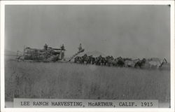 Lee Ranch Harvesting, 1915 McArthur, CA Postcard Postcard Postcard