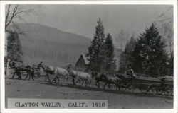 Lumber Wagons Pulled By Horses 1910 Clayton, CA Postcard Postcard Postcard