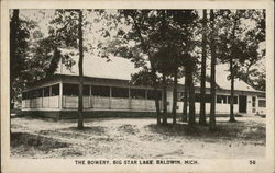 The Bowery, Big Star Lake Baldwin, MI Postcard Postcard Postcard