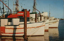 San Diego Yacht Harbor Postcard