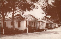 Young Cottages Postcard