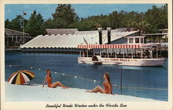 Beautiful Weeki Wachee Under the Florida Sun Postcard