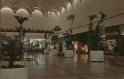 The Attractive Specialty Shops at Yorkdale Plaza Postcard