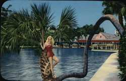 Beauty Everywhere At Florida's Silver Springs Postcard Postcard Postcard