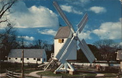 Robertson's Windmill Postcard