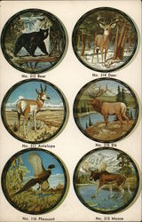 Wall Plaques or Serving Trays Postcard