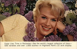 Enjoy Lilac Time in Rochester - See the World's Largest Collection of Lilacs Flowers Postcard Postcard Postcard