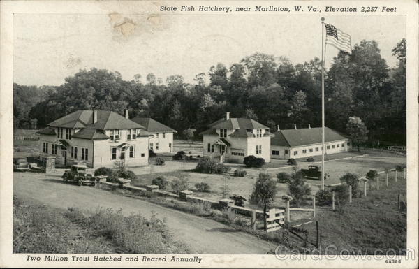 State Fish Hatchery, Elevation 2,257 Feet Marlinton, WV Postcard