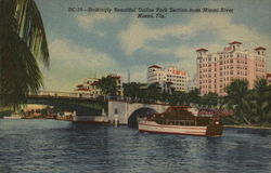 Strikingly Beautiful Dallas Park Section from Miami River Florida Postcard Postcard Postcard